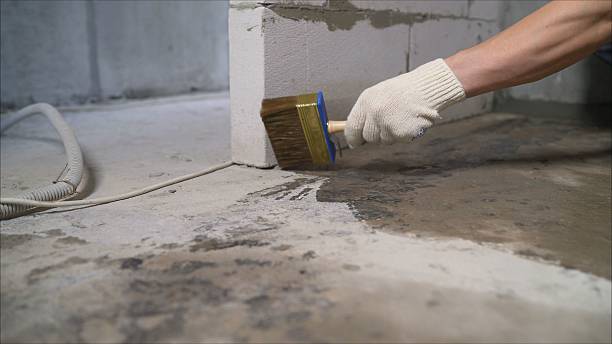 SJ Waterproofing Pros Crawl Space Encapsulation coverage map for Piffard, NY and surrounding area